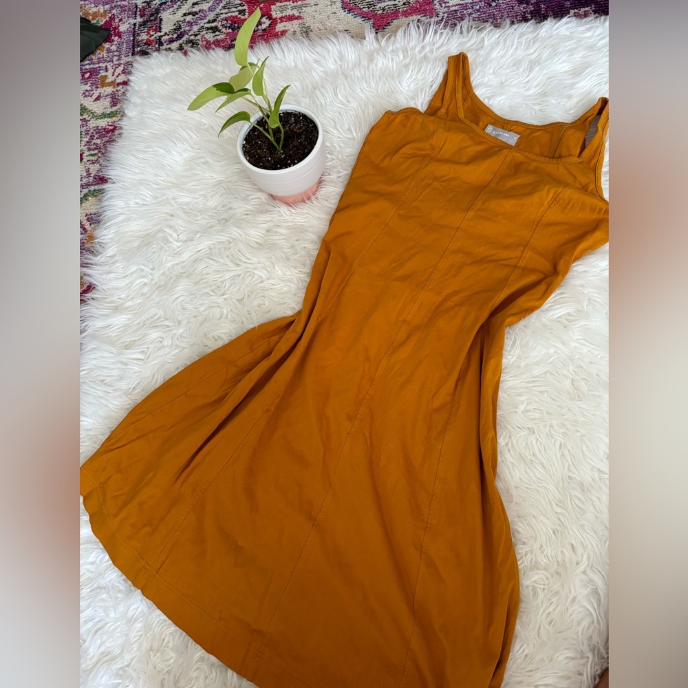 Everlane dress